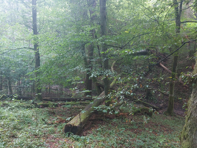  Wycieczka rowerowa do Źródeł Łyny 