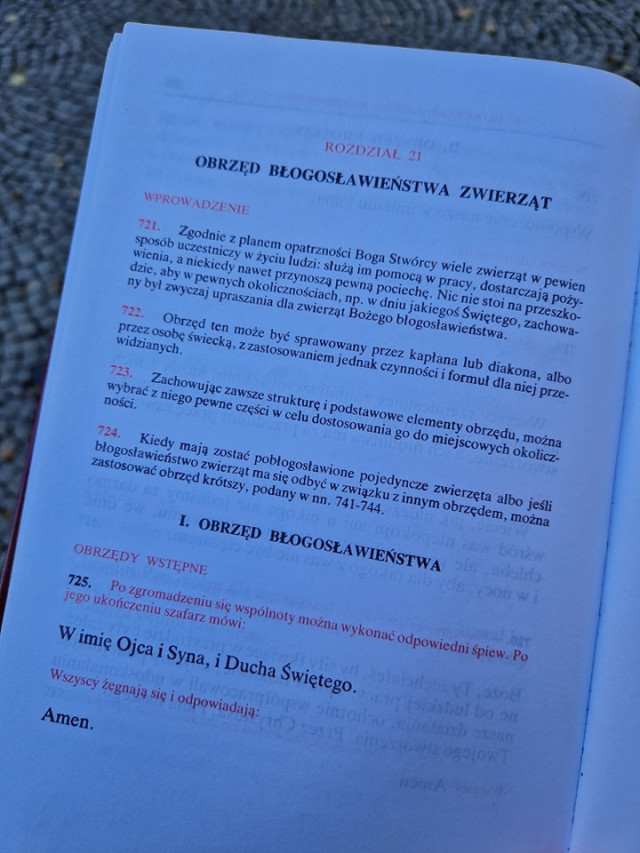  Błogosławieństwo zwierząt 
