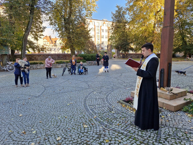  Błogosławieństwo zwierząt 