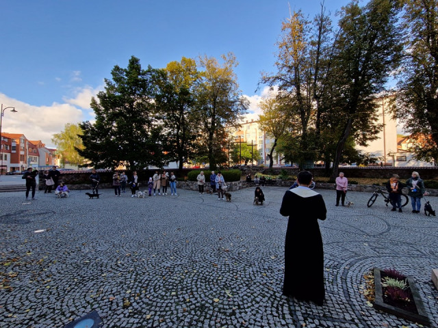  Błogosławieństwo zwierząt 