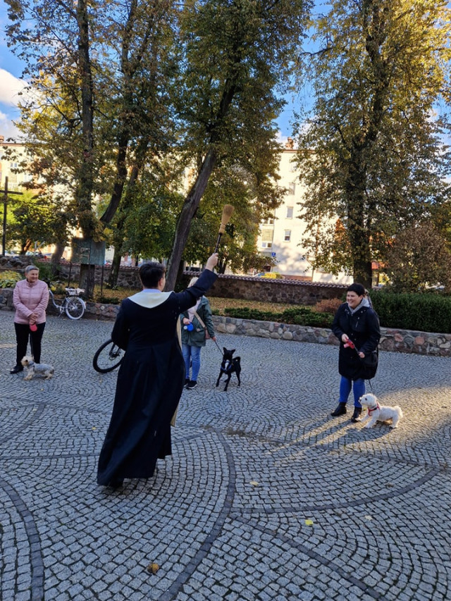  Błogosławieństwo zwierząt 