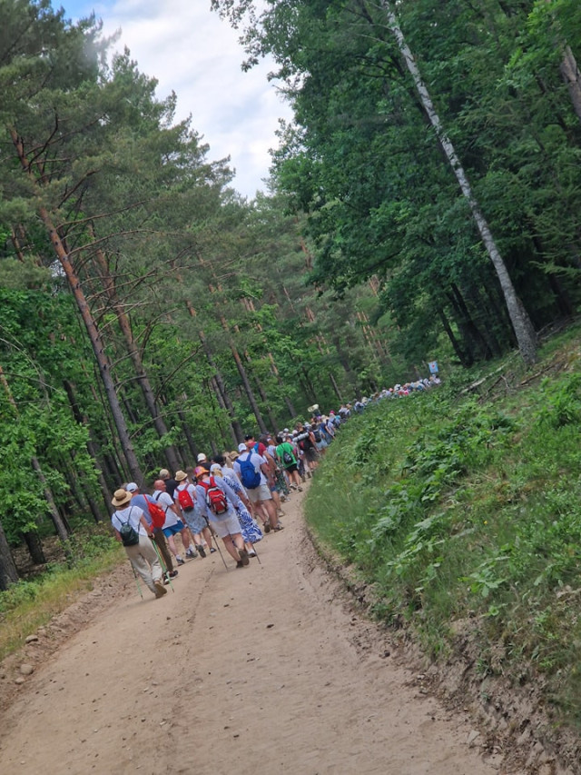  II Nidzicka Piesza Pielgrzymka do Gietrzwałdu 
