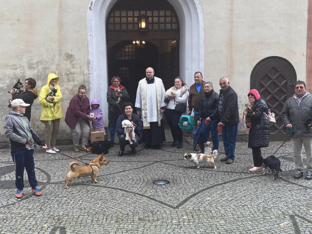 Błogosławieństwo zwierząt w dniu wspomnienia św. Franciszka z Asyżu
