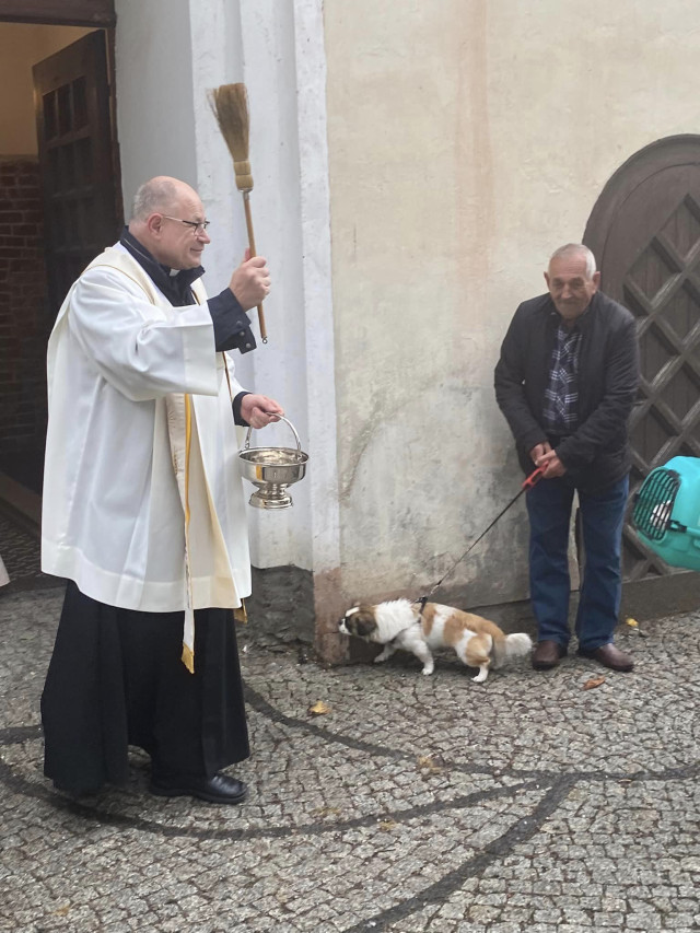  Błogosławieństwo zwierząt 