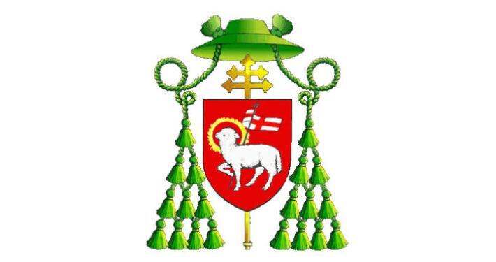 Reorganizacja struktur dekanalnych